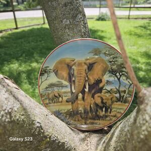 Vintage Porcelain WWF Decorative Hanging Plate From 1986